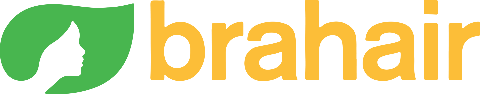 Brahair